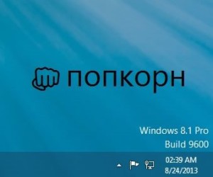 Windows8.1 pro build 9600