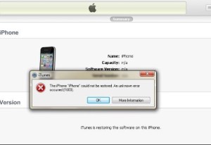 Apple error 1603