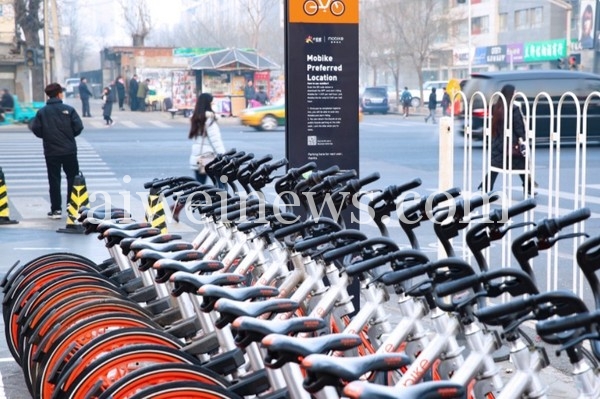 Mobike DD